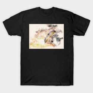 Paraglider at Sunset in Watercolor T-Shirt